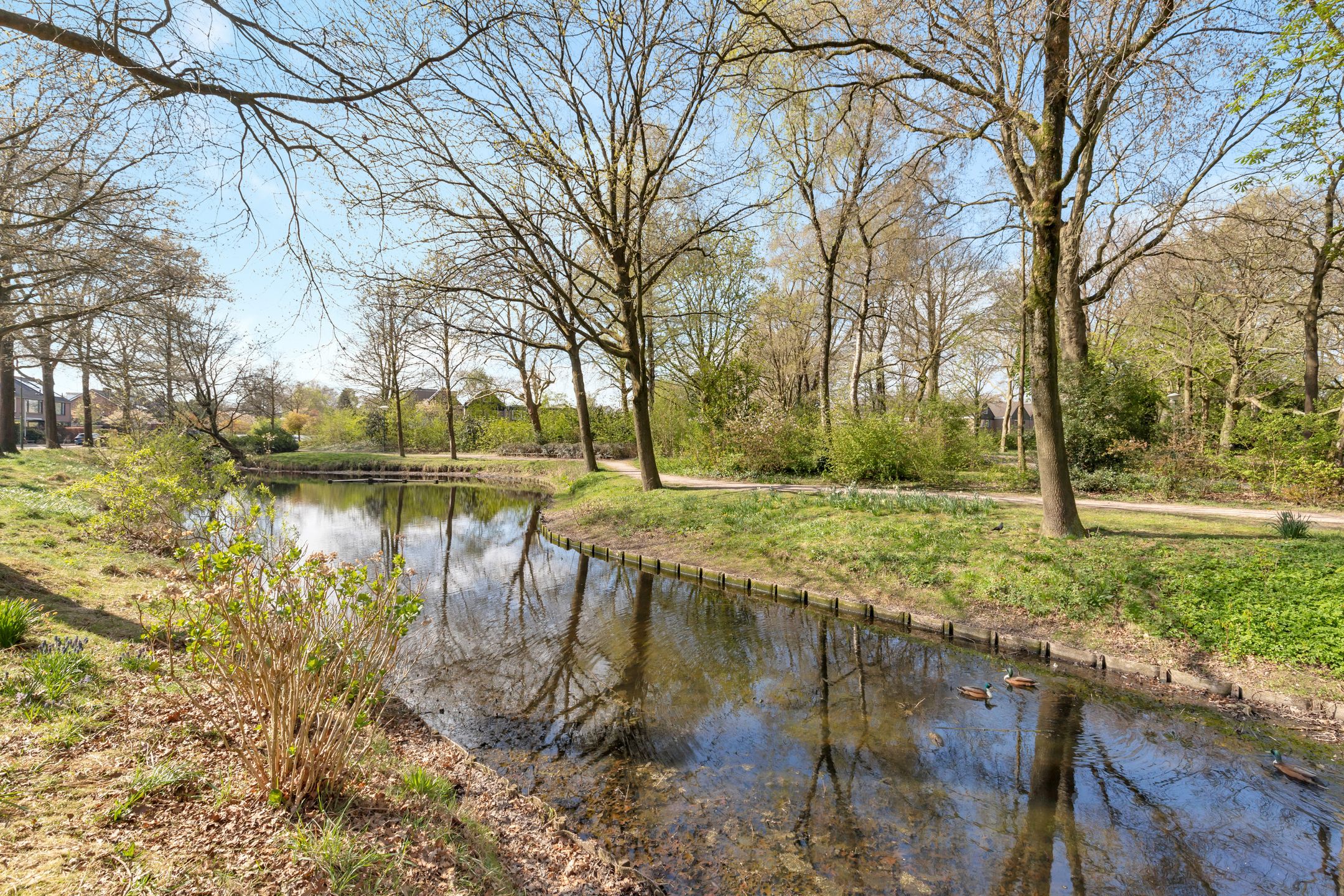 Photo 39 of Gruttolaan 12