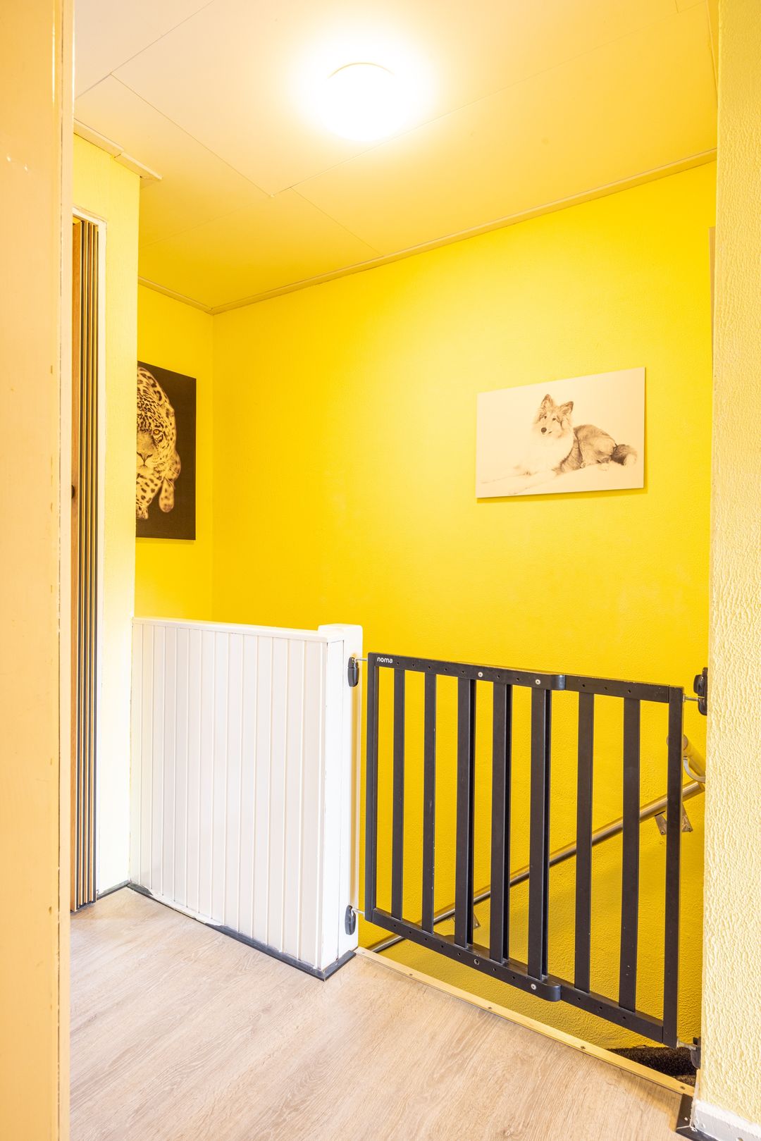 Photo 17 of Burgemeester Loysonstraat 16