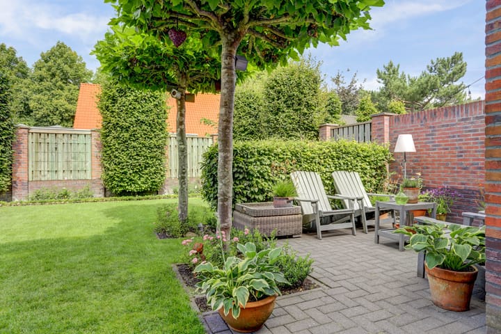 Photo 46 of Beukenbos 75