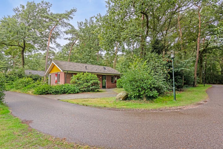 Photo 5 of Rolderstraat 11-A295