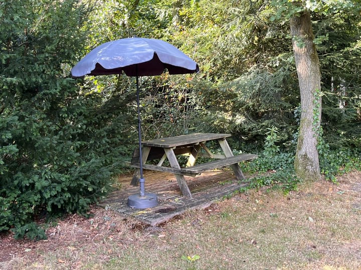 Photo 25 of Rolderstraat 11-A295