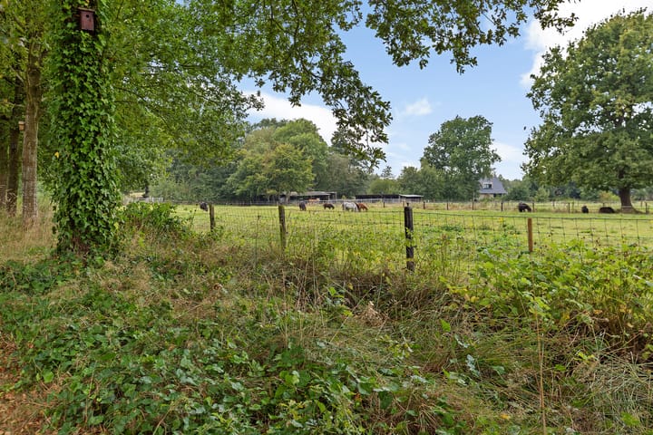 Photo 45 of Dilakker 13