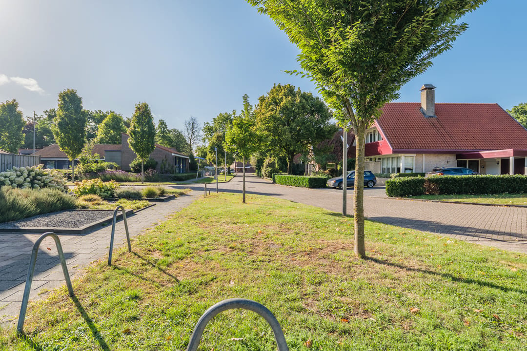 Photo 28 of De Koolmees 56