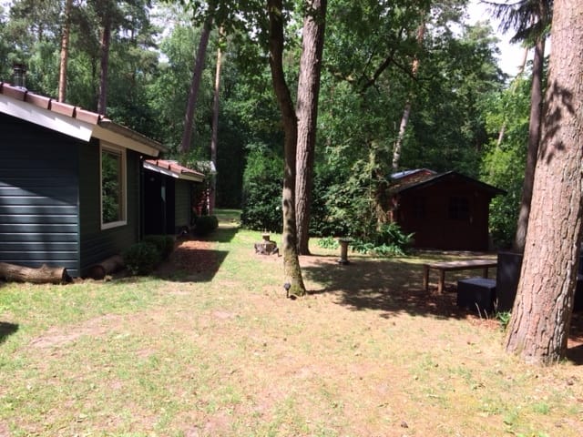 Foto 12 van De Jutberg 78-51