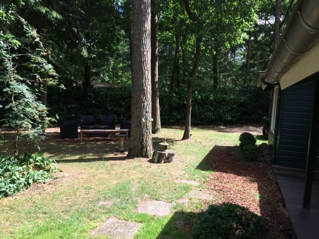 Foto 13 van De Jutberg 78-51