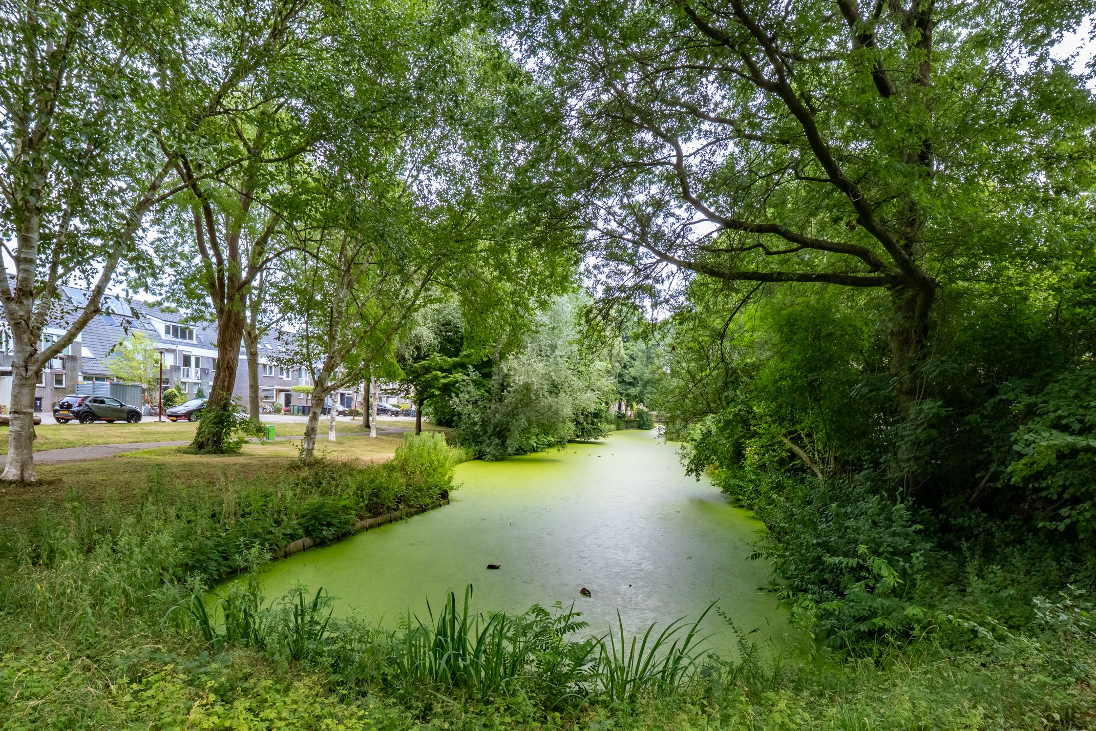 Foto 54 van Framboosgaarde 6