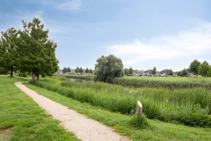 Foto 4 van Escudo 49