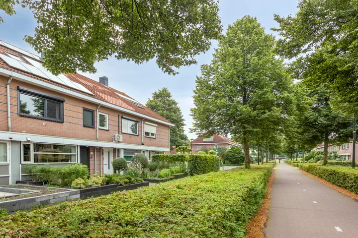 Foto 5 van Escudo 49