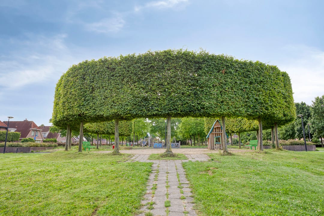 Foto 22 van Escudo 49