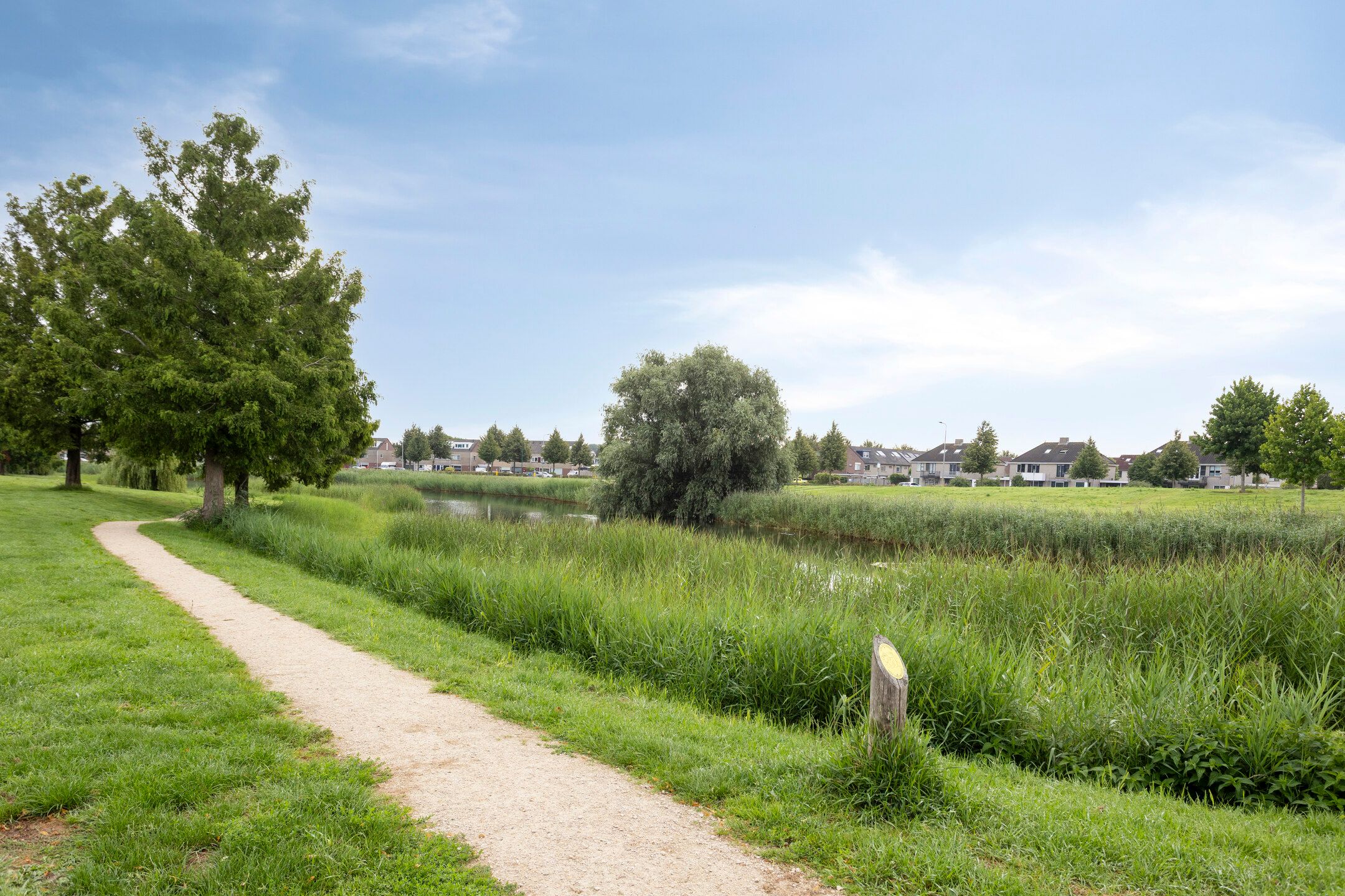 Foto 42 van Escudo 49