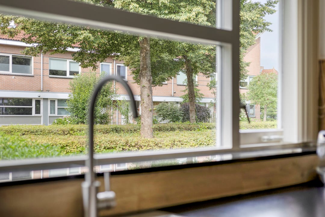 Foto 16 van Escudo 49