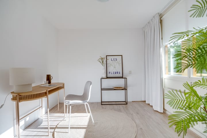 Foto 37 van Arthur van Schendelstraat 731