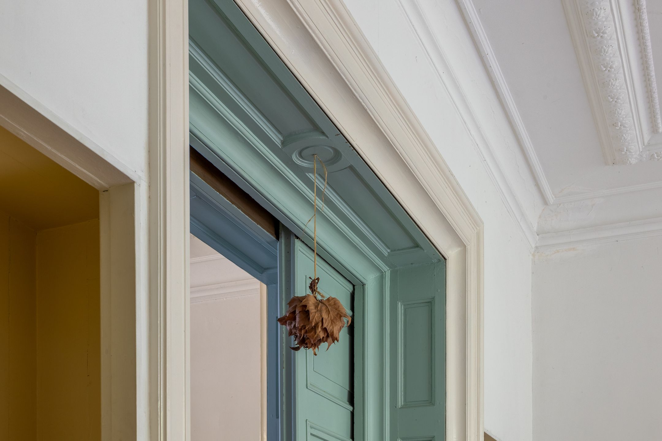 Foto 18 van Singel 530