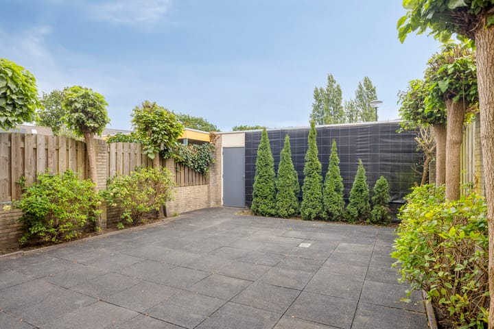 Foto 8 van Torenvalk 11