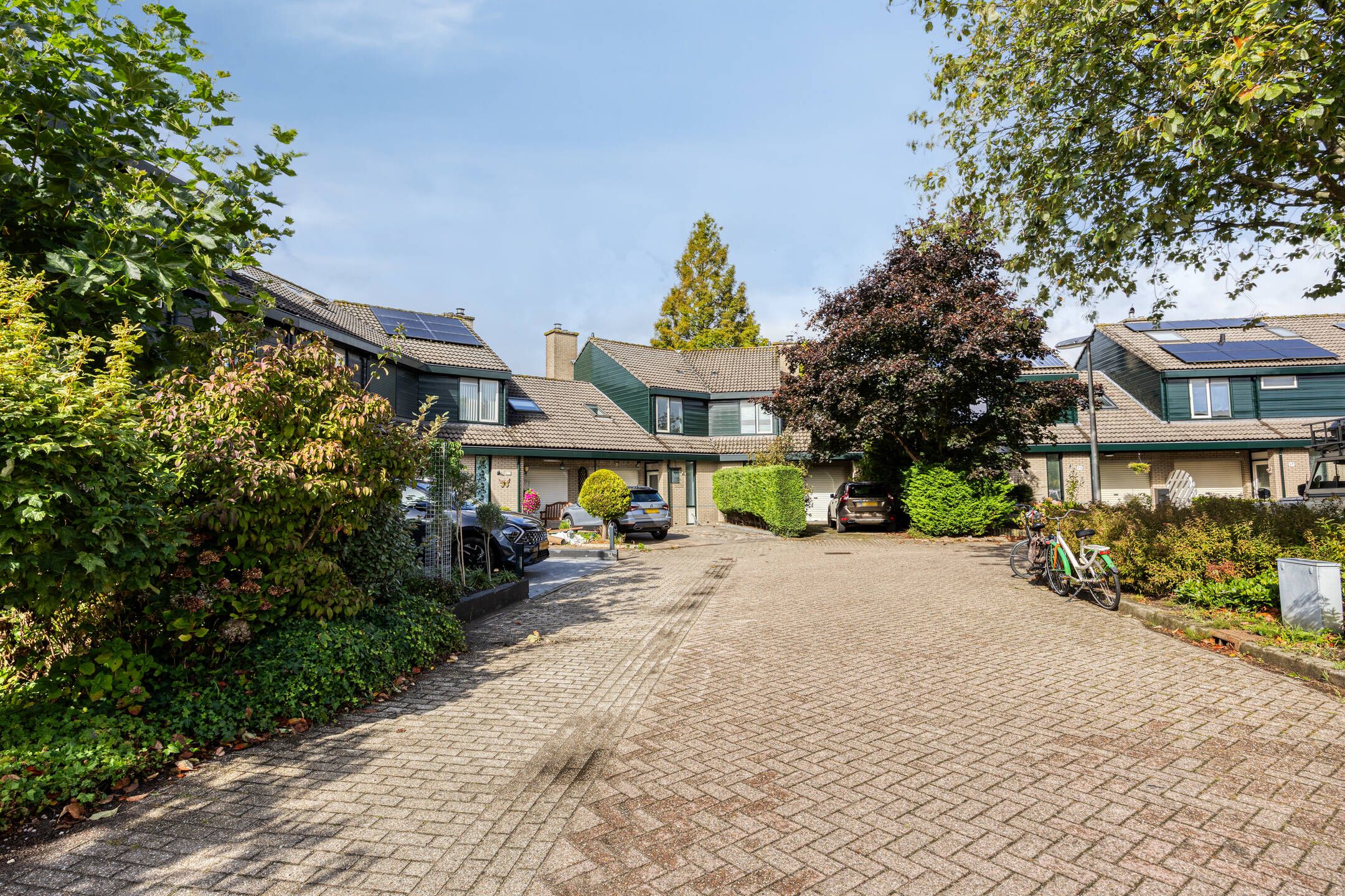 Foto 6 van Beltmolen 101