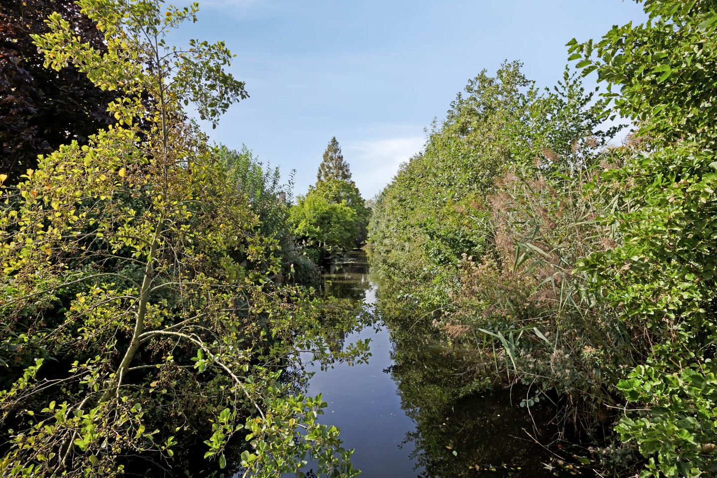 Foto 40 van Beltmolen 101