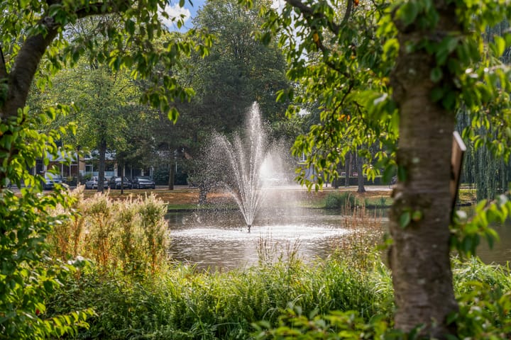 Foto 38 van Nolensstraat 37-B01