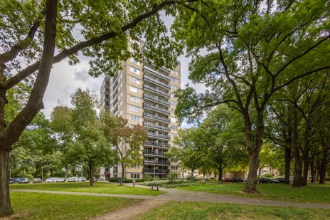 Vanekerstraat thumbnail