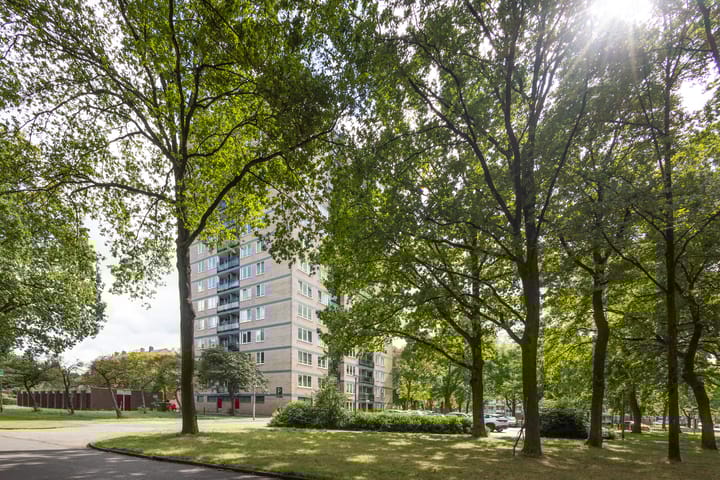 Foto 6 van Vanekerstraat 213