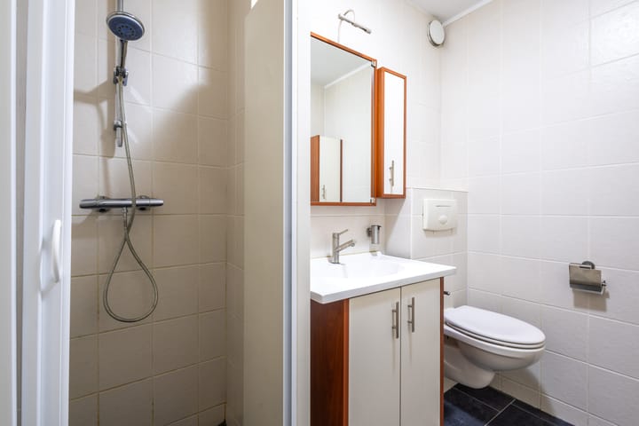 Foto 18 van Vanekerstraat 213