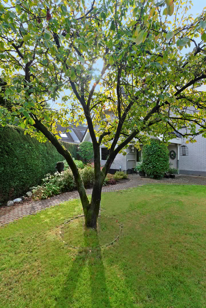 Foto 46 van Gerstkamp 8