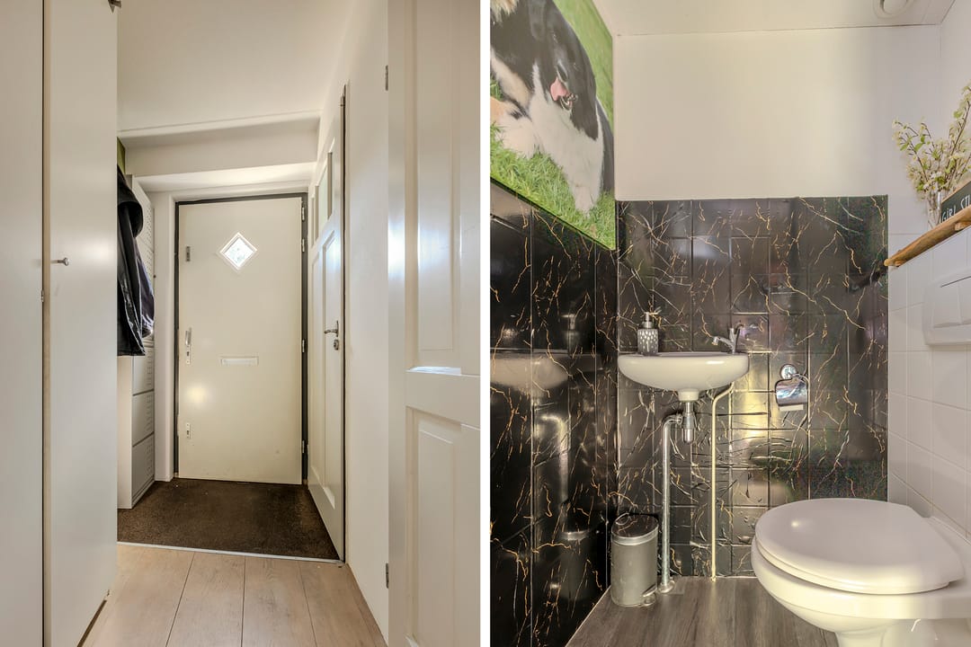 Photo 16 of Stella Agsteribbeland 38