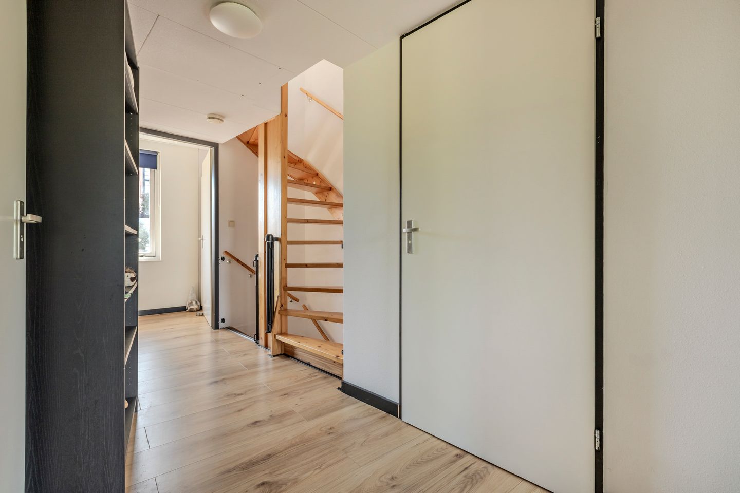 Photo 20 of Stella Agsteribbeland 38