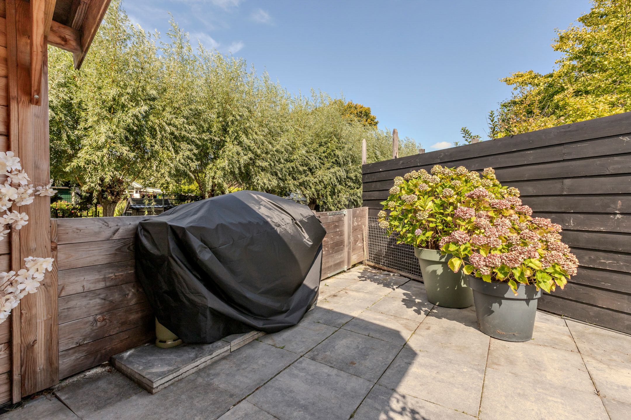 Photo 51 of Stella Agsteribbeland 38