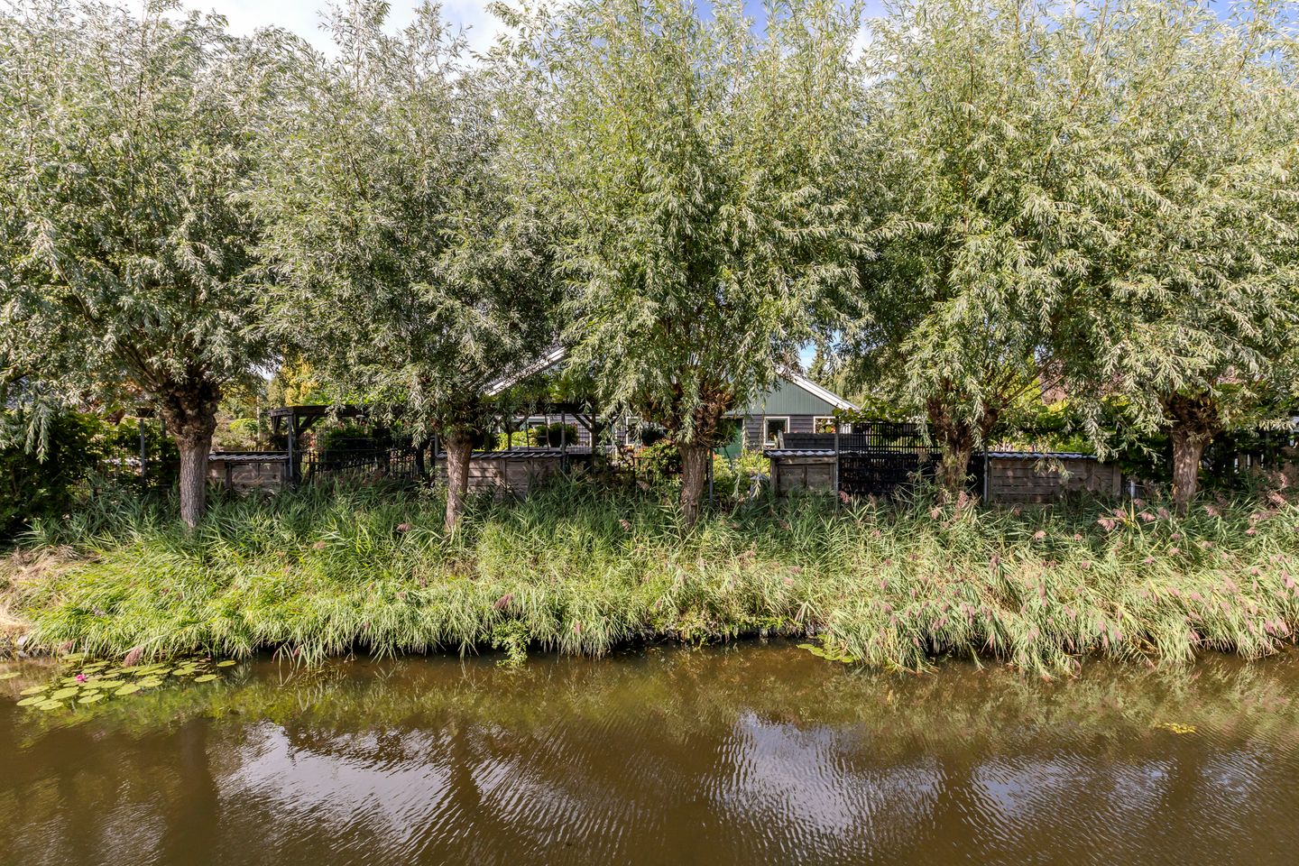 Photo 55 of Stella Agsteribbeland 38