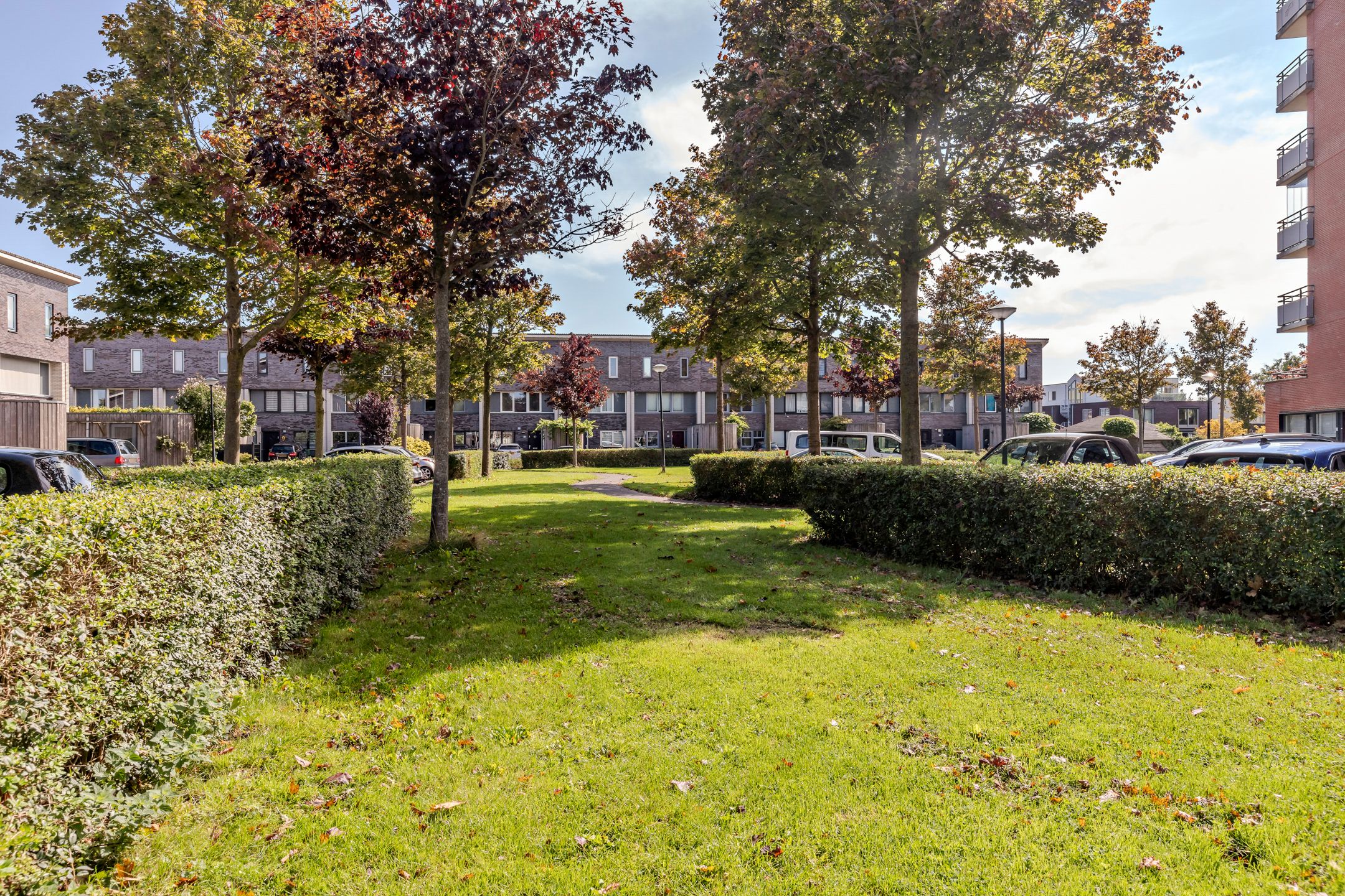 Photo 66 of Stella Agsteribbeland 38