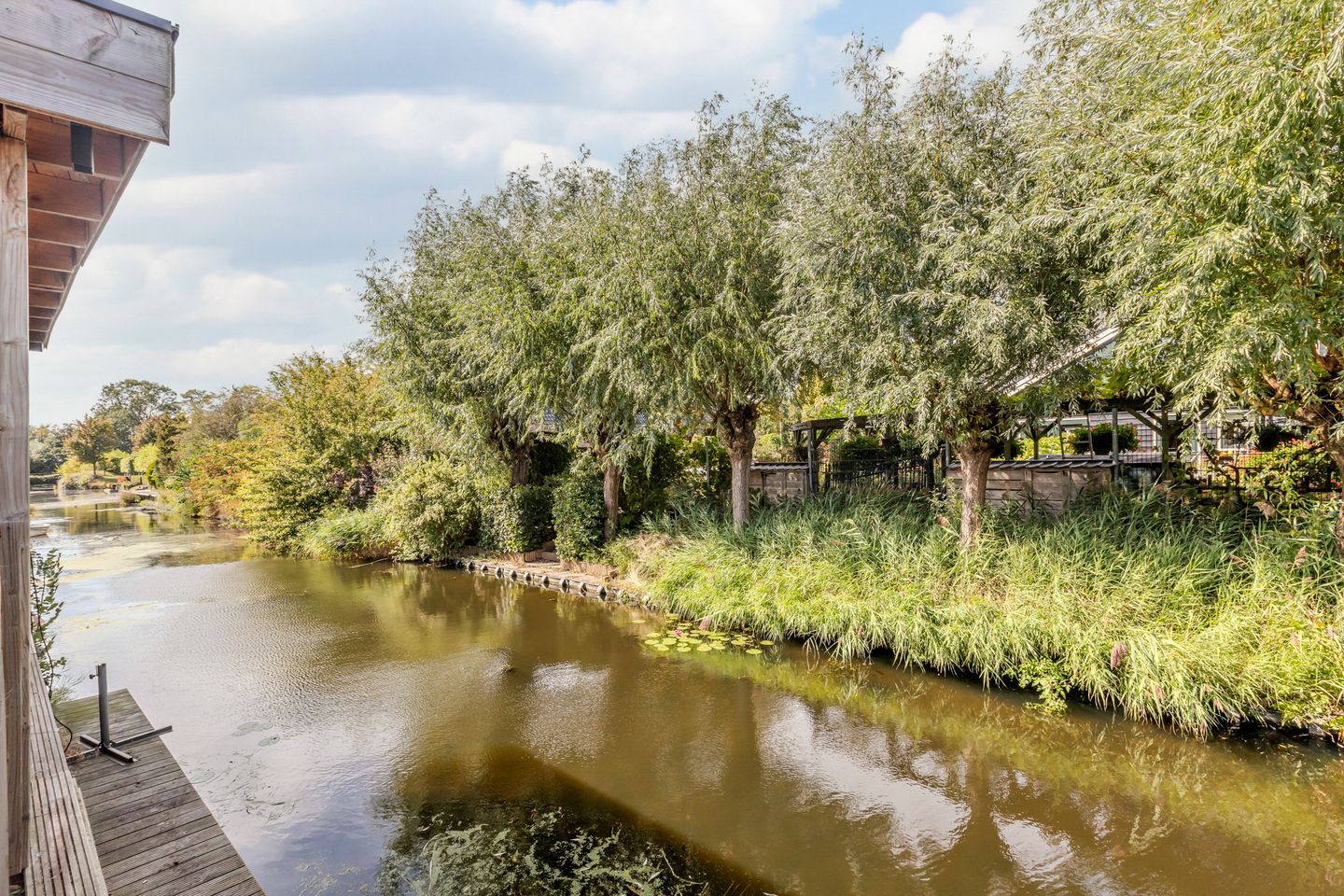 Photo 70 of Stella Agsteribbeland 38