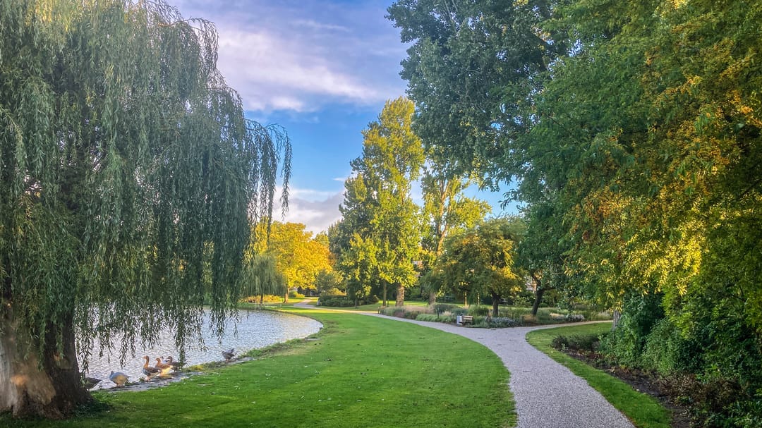 Foto 2 van Star Numanstraat 50