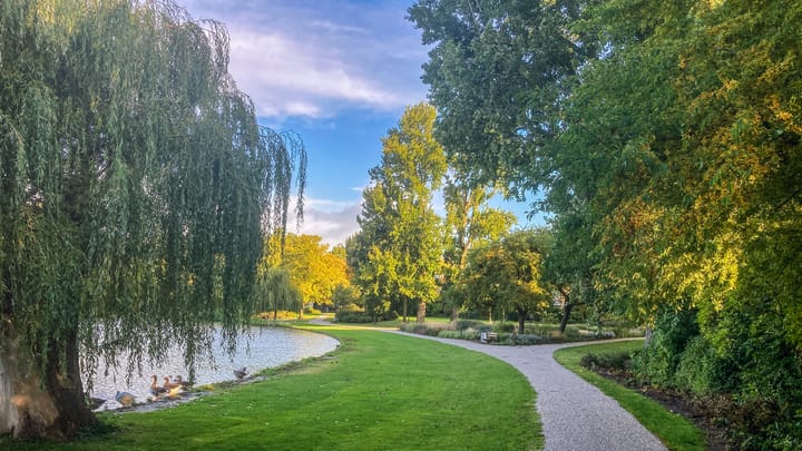 Foto 2 van Star Numanstraat 50