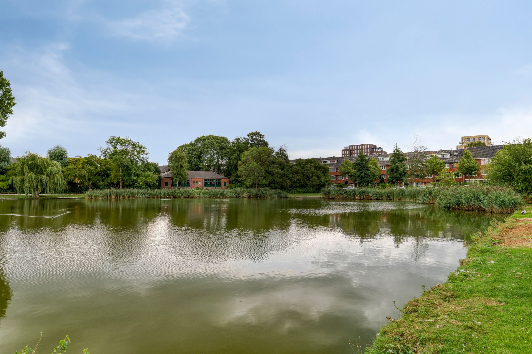 Foto 39 van Star Numanstraat 50