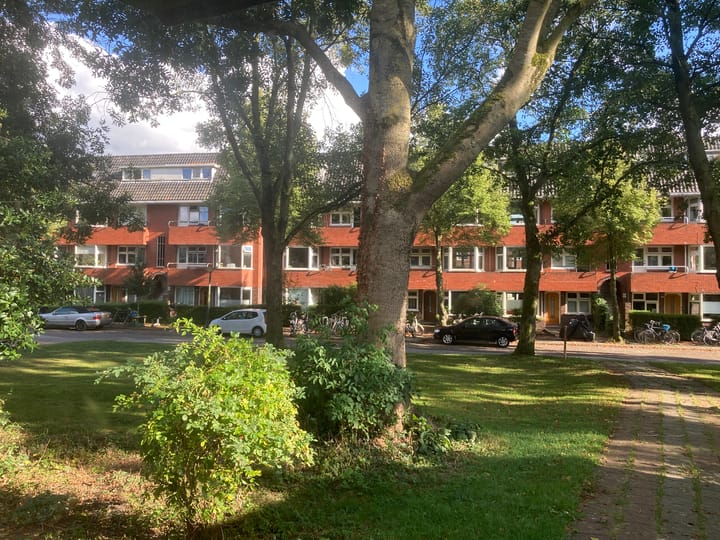 Photo 41 of Star Numanstraat 50