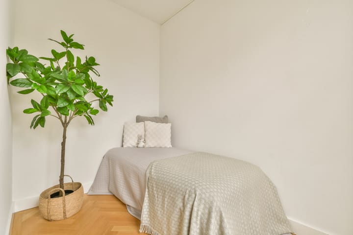 Foto 17 van Jacob Obrechtstraat 1-2