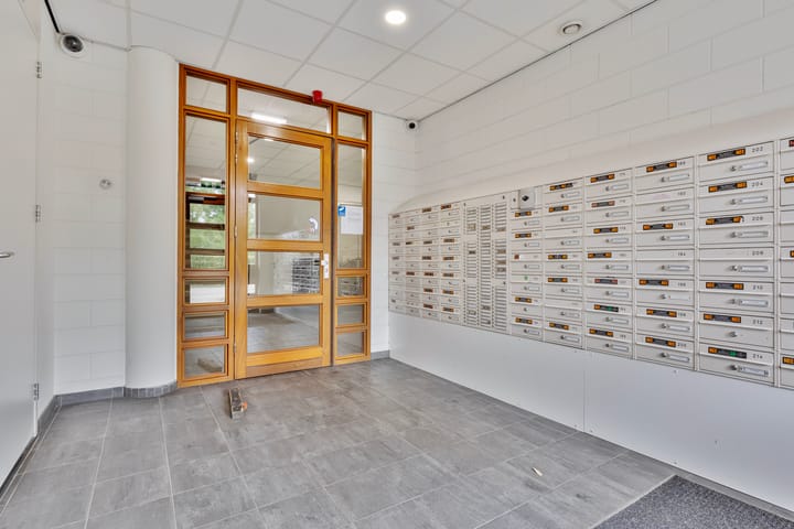 Foto 7 van Rottumeroog 134