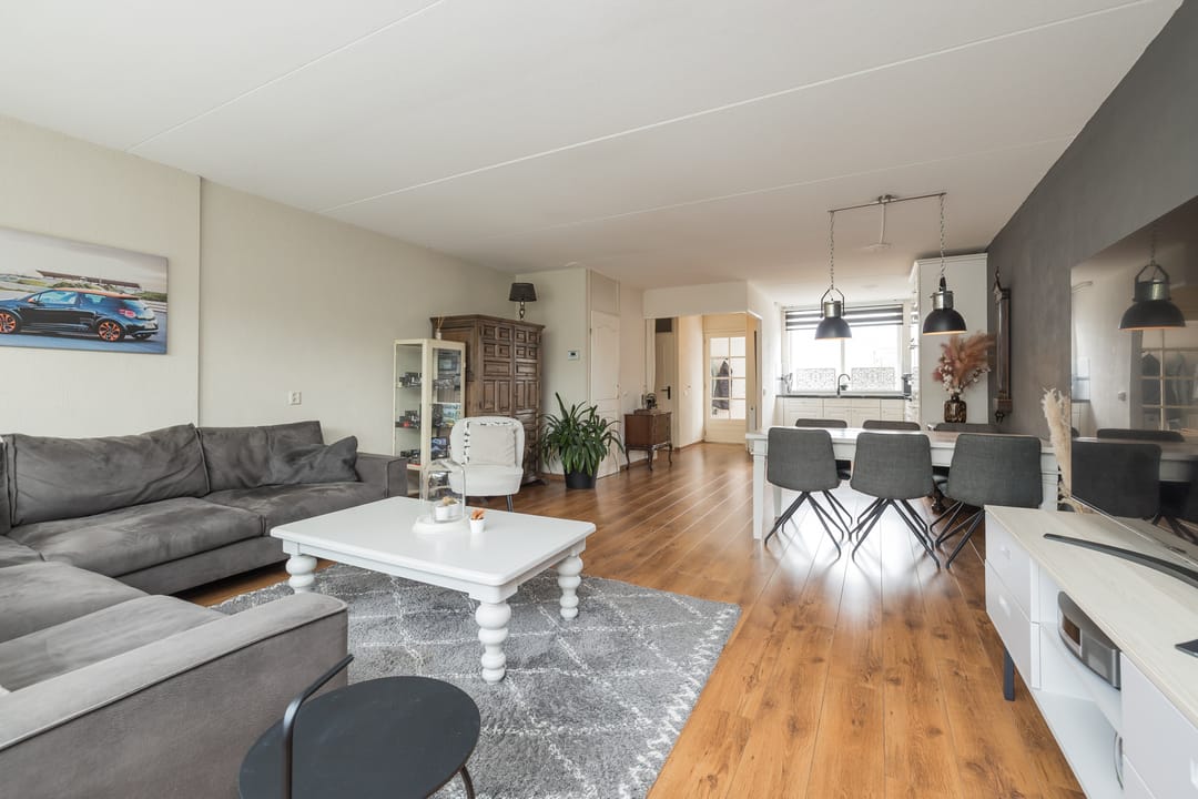 Foto 2 van Zilvermeeuw 47