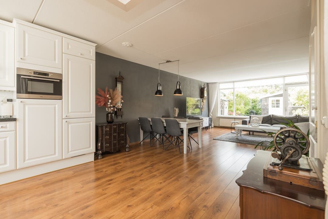 Foto 7 van Zilvermeeuw 47