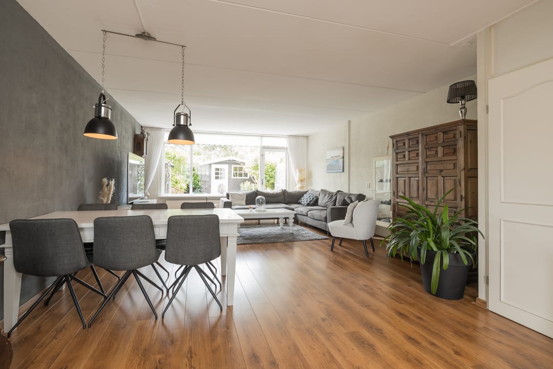 Foto 8 van Zilvermeeuw 47