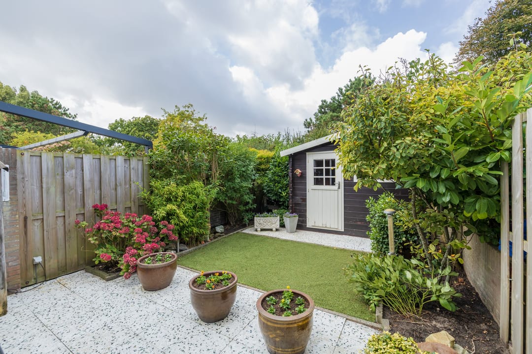 Foto 13 van Zilvermeeuw 47