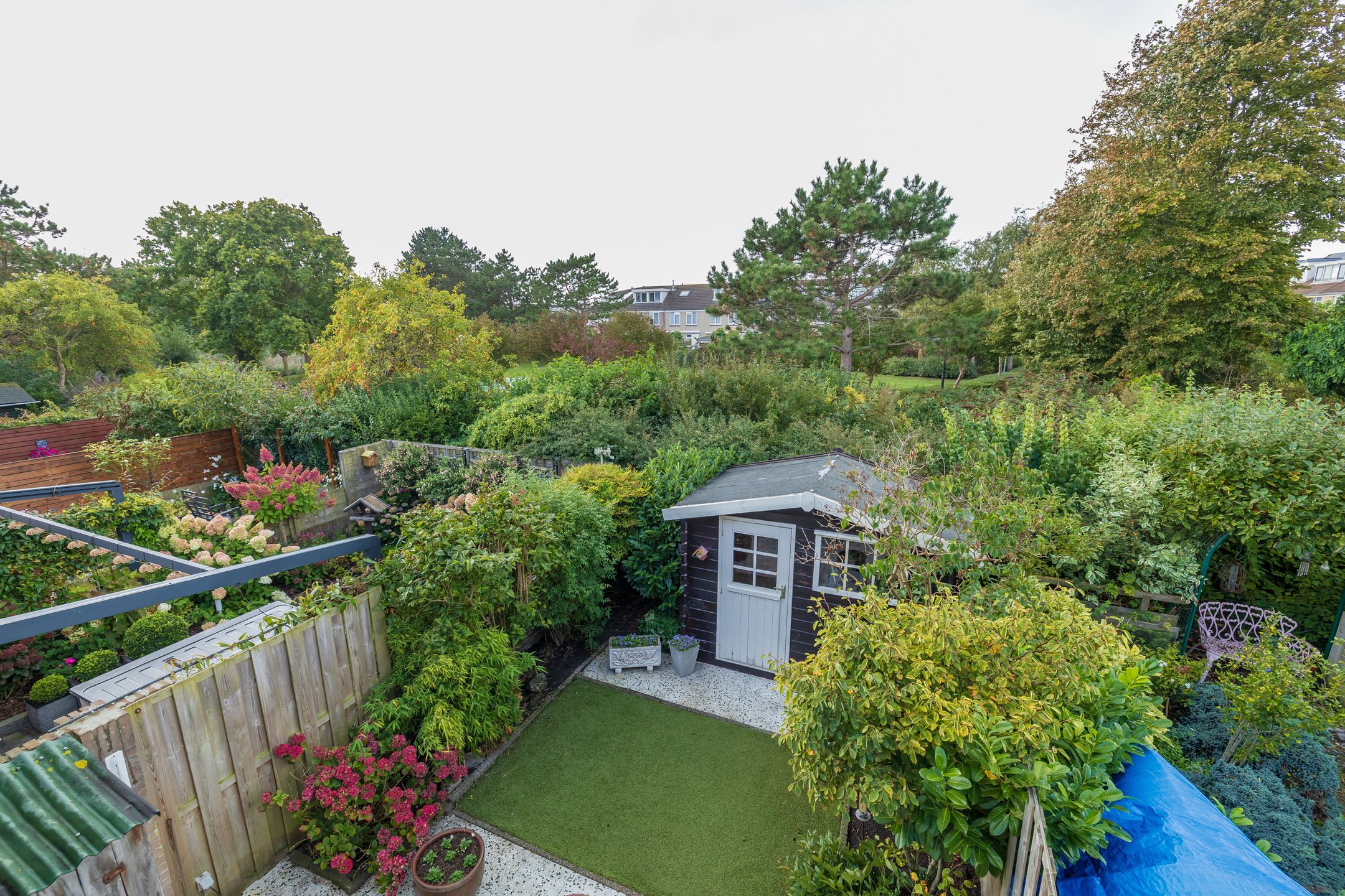 Foto 21 van Zilvermeeuw 47