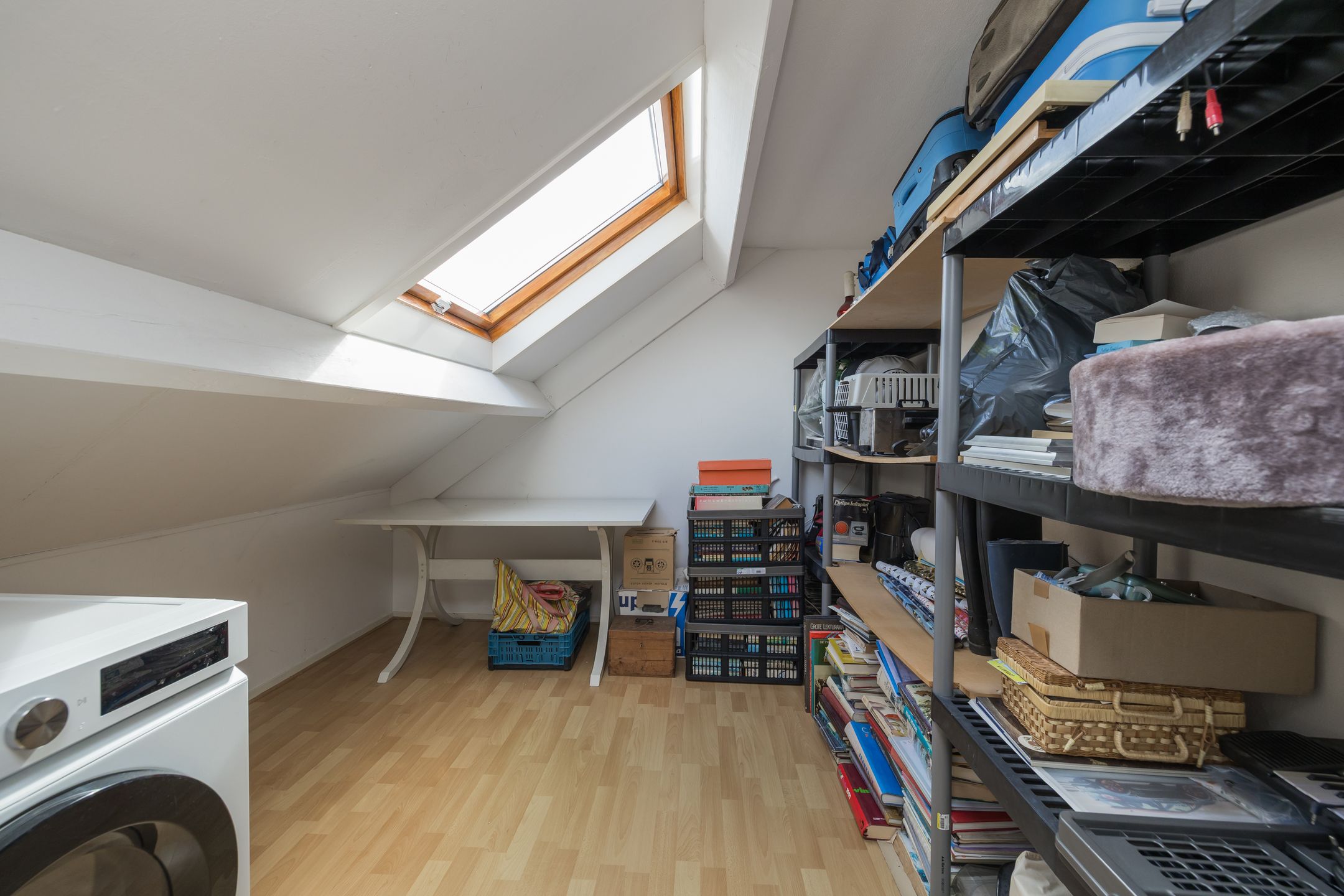 Foto 30 van Zilvermeeuw 47