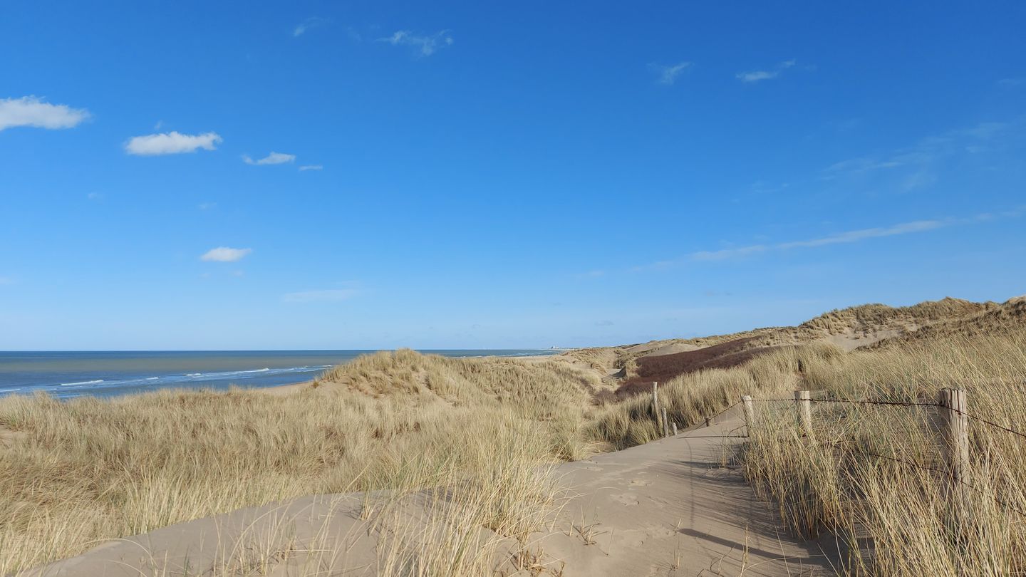 Foto 64 van d'Aumeriestraat 2