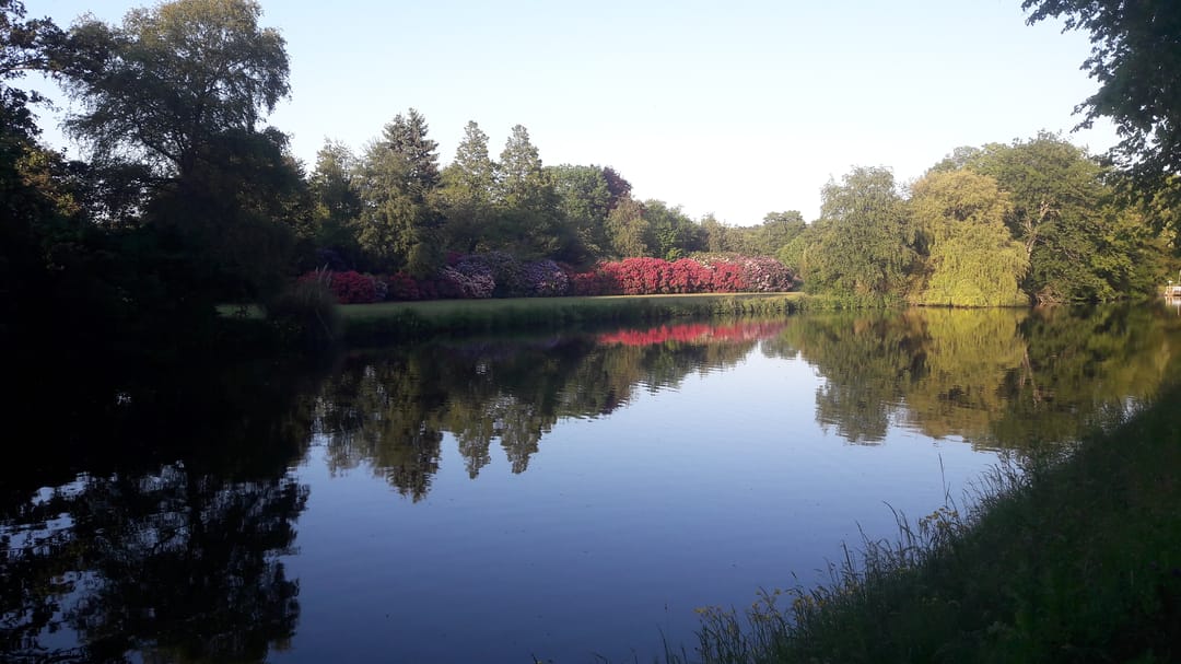 Foto 68 van d'Aumeriestraat 2