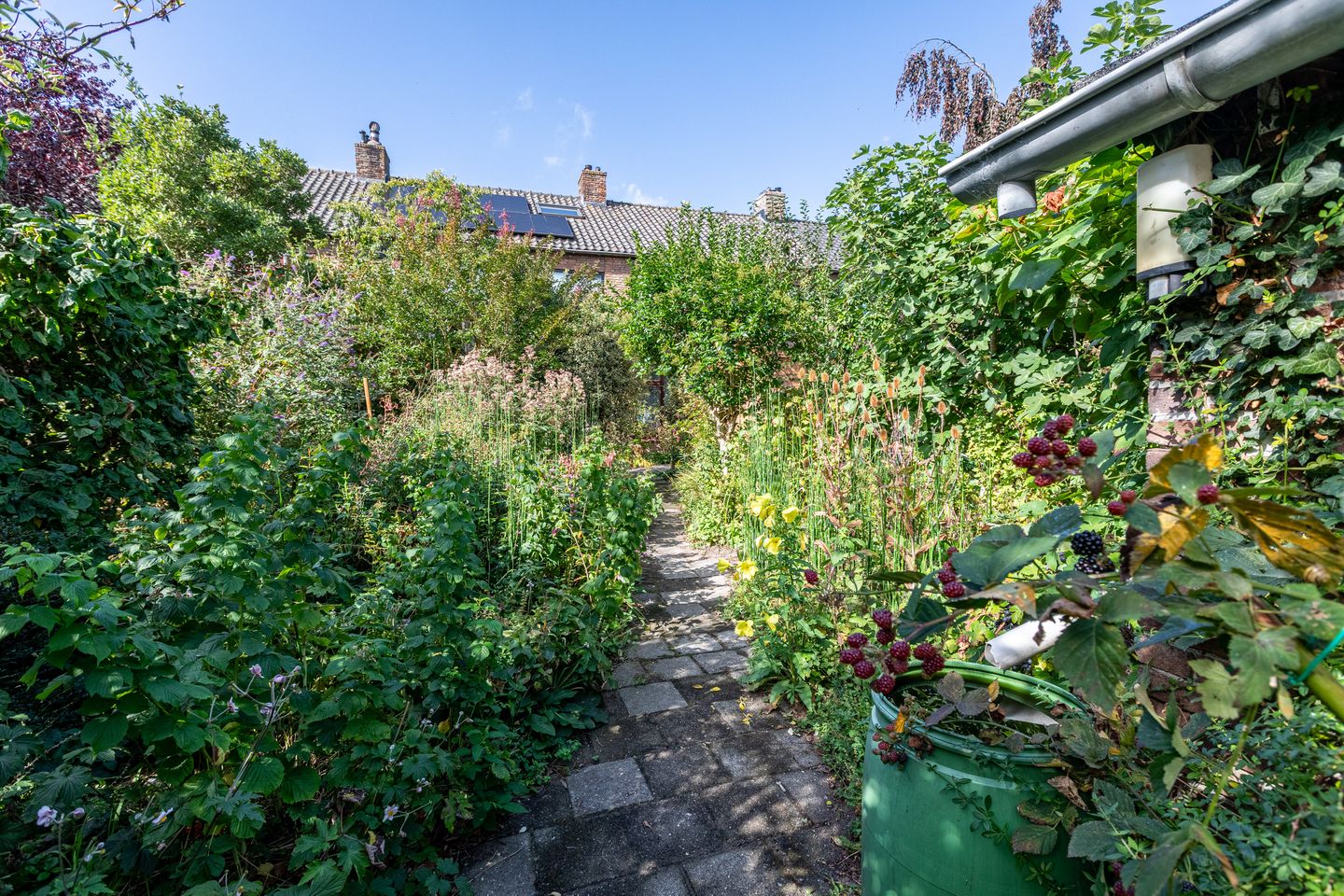 Foto 14 van Reginastraat 11