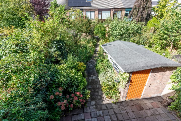 Foto 31 van Reginastraat 11