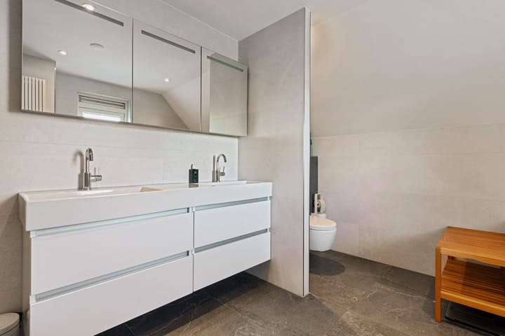 Foto 16 van Tolheksbos 4