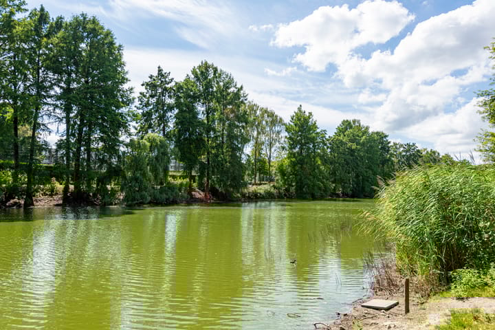 Photo 27 of Wandelboslaan 32-A