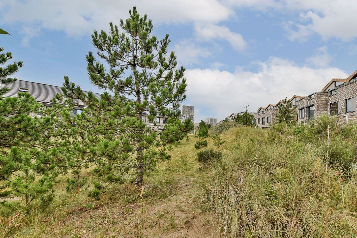 Foto 19 van Duintopstraat 42